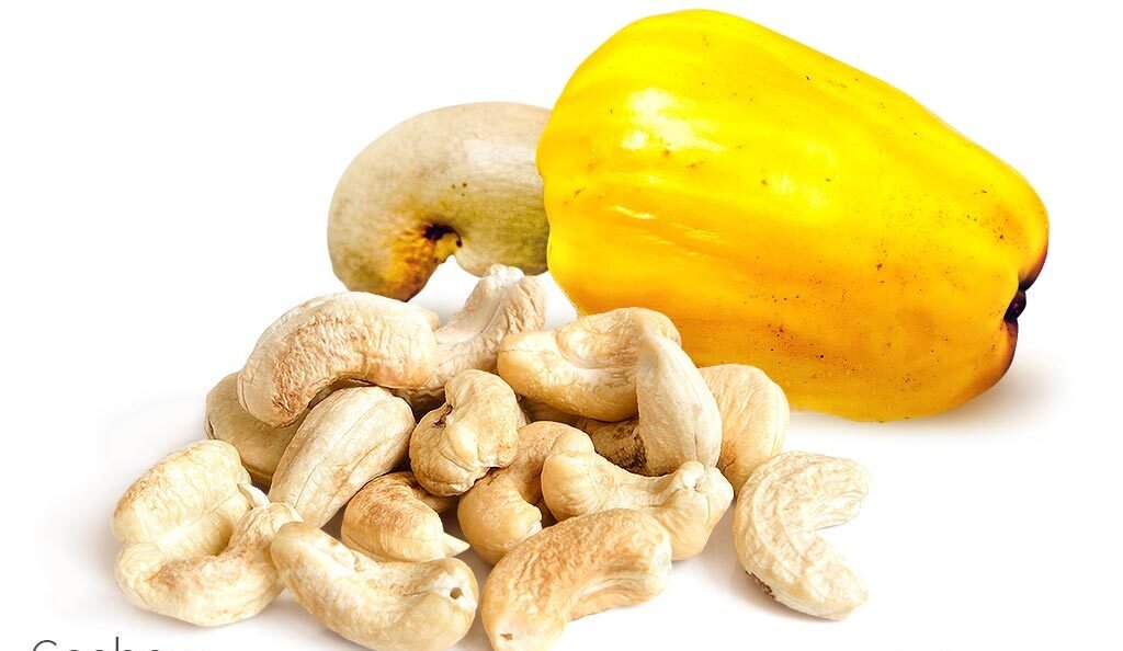 General Trade Services