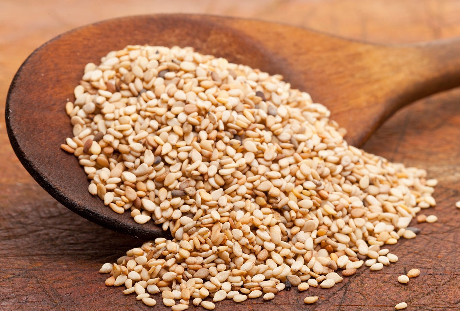 Social & Economic Impact